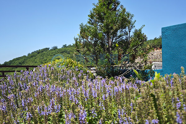 南京墓地传统“烧三周年”习俗：孝道延续还是仪式终结？